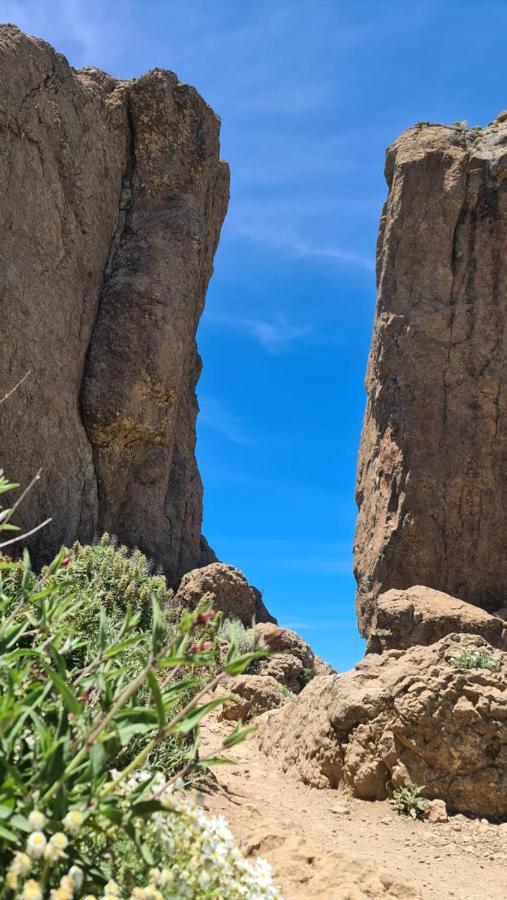 Puerto Rico Top Teide And Amadores View Εξωτερικό φωτογραφία