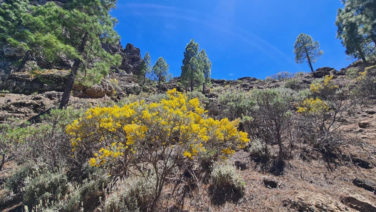 Puerto Rico Top Teide And Amadores View Εξωτερικό φωτογραφία
